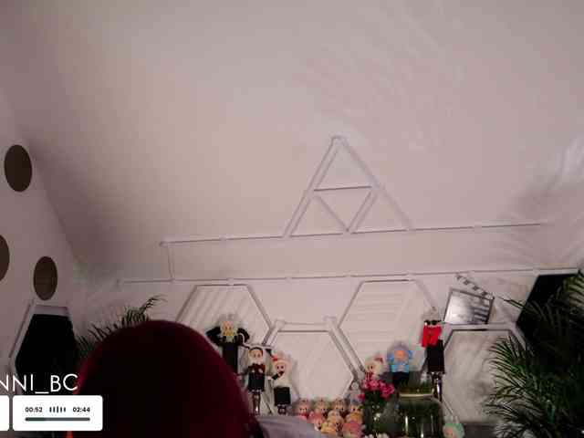 Taanni webcam