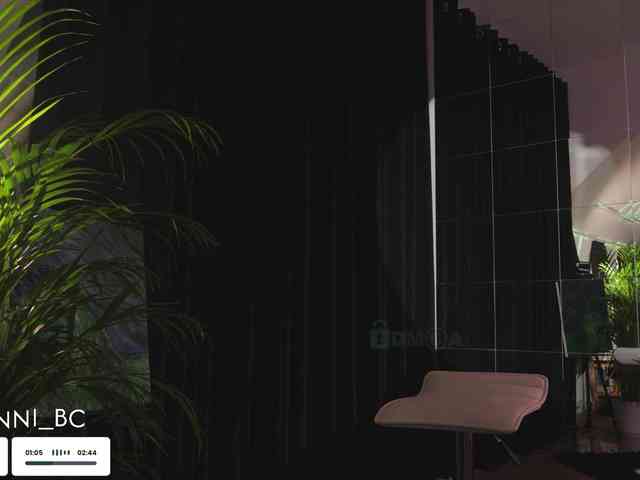 Taanni webcam