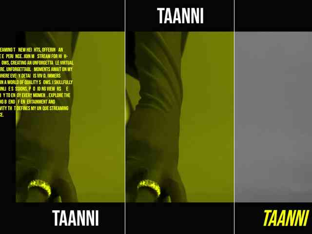 Taanni webcam