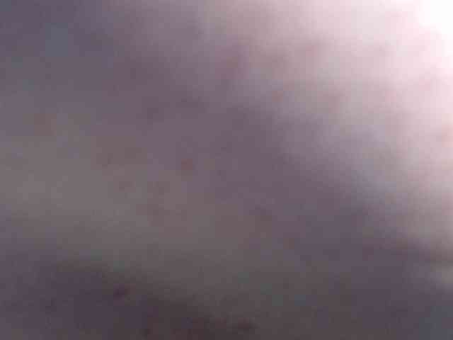 Alida-2 Live Webcam on BongaCams