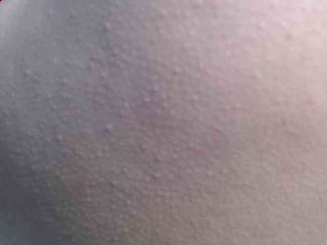 Alida-2
