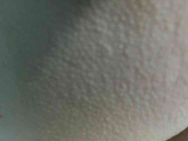 DirtyNatural webcam