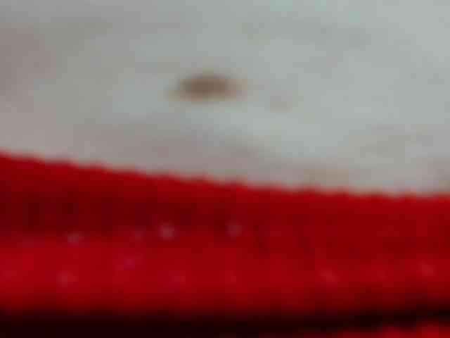 DirtyNatural webcam