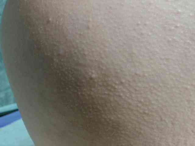 DirtyNatural webcam