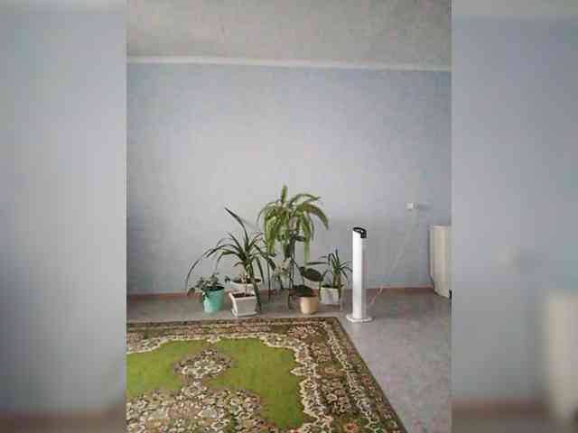 vetlaru webcam