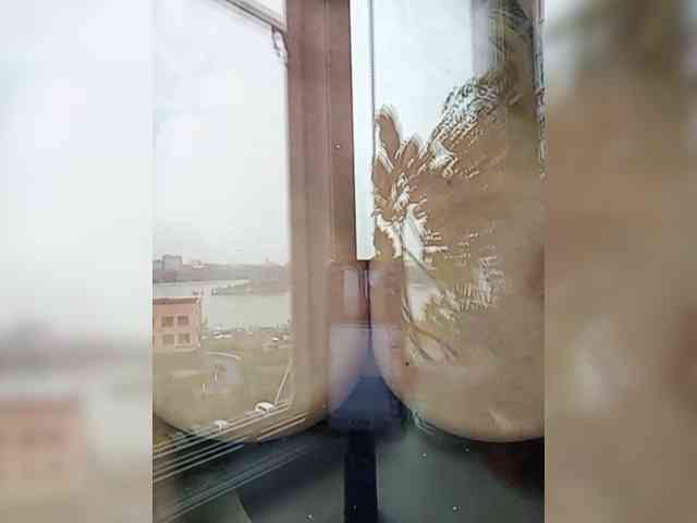 vetlaru webcam