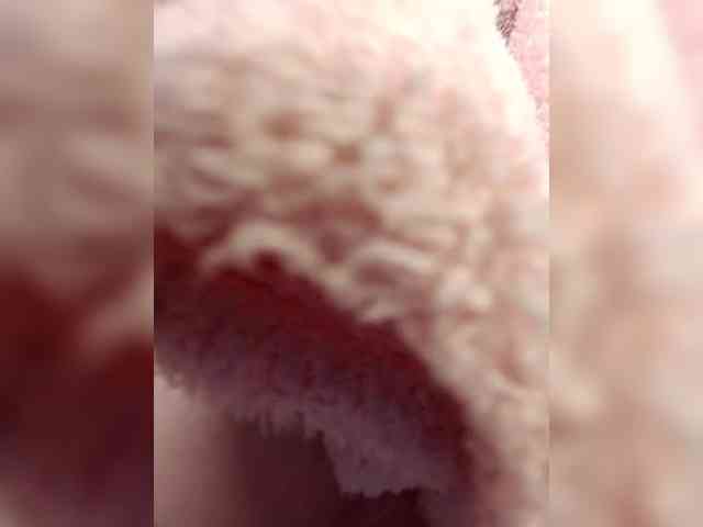 businka11223a webcam