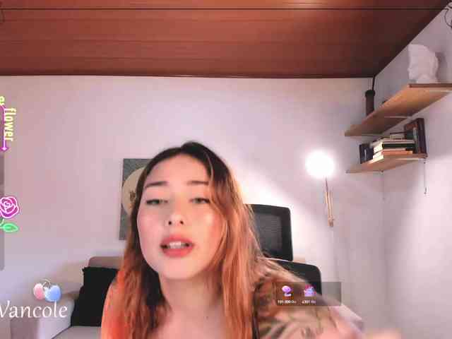 Tulipa1 webcam