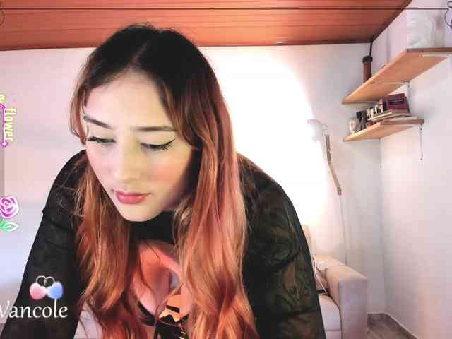 web cam live Tulipa1