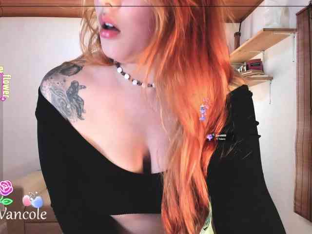 Tulipa1 webcam