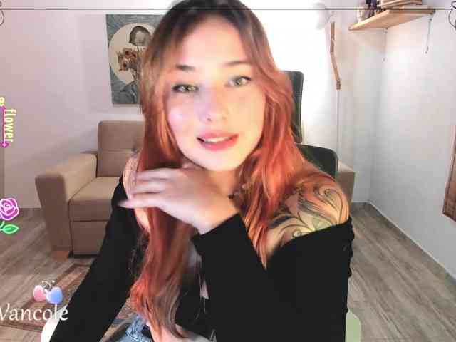 Tulipa1 webcam