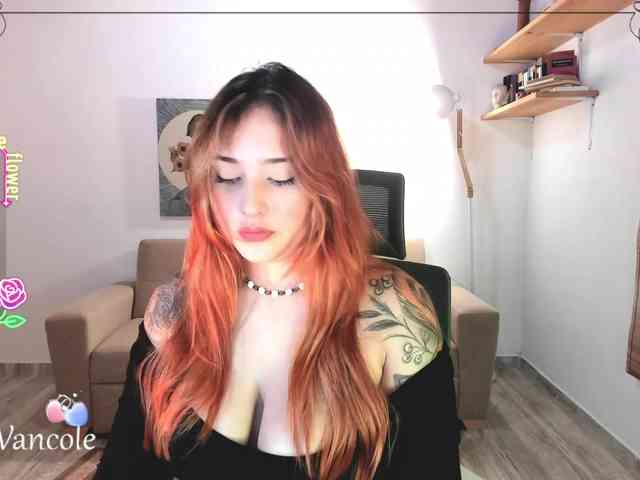 Tulipa1 webcam