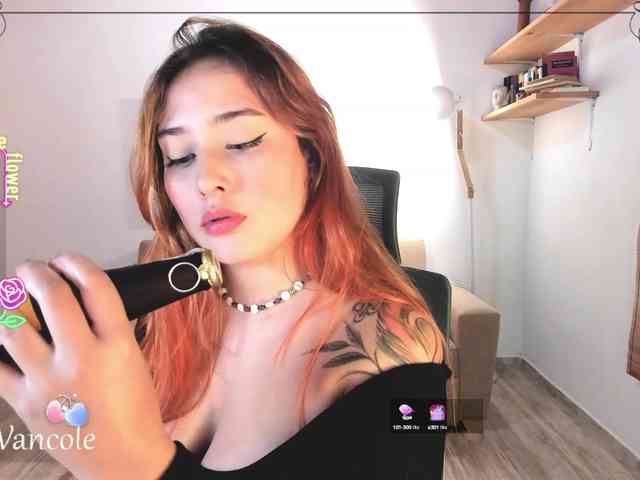 Tulipa1 webcam
