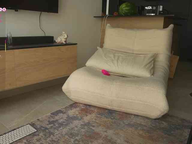 blackvelveet webcam