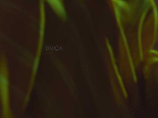 Kottyaaaa's BongaCams show and profile