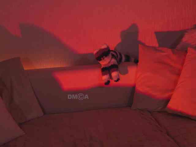 KOTTYAA webcam