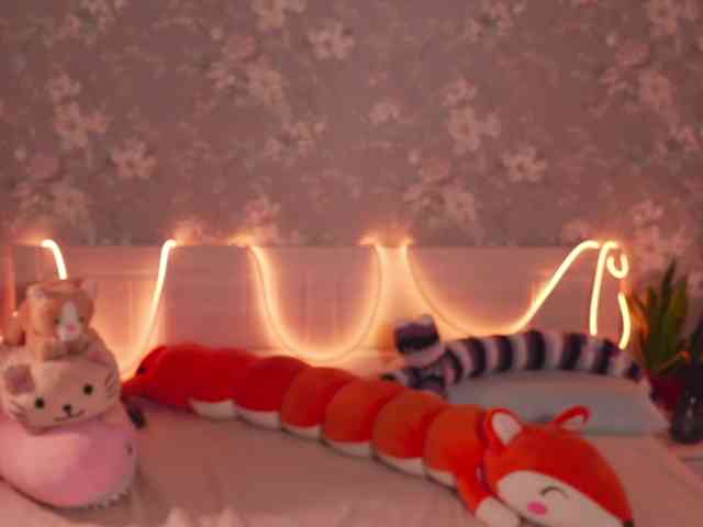 KOTTYAA webcam
