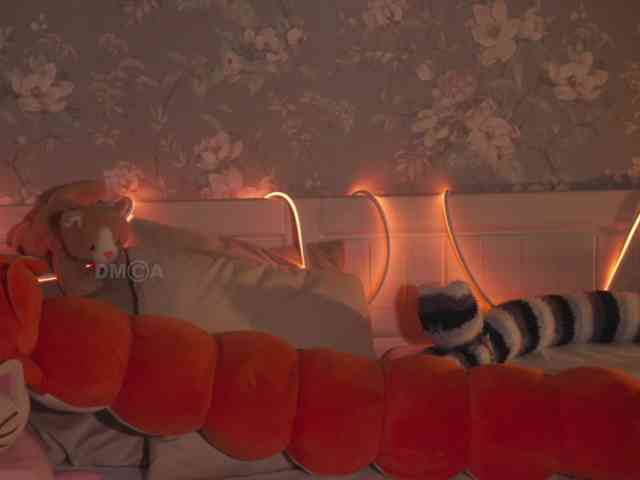 KOTTYAA webcam