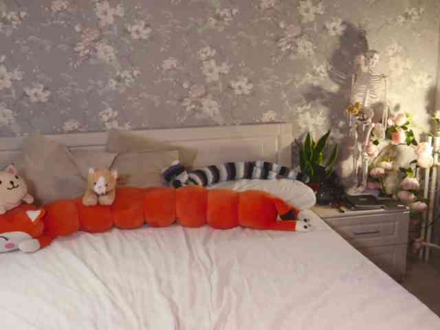KOTTYAA webcam