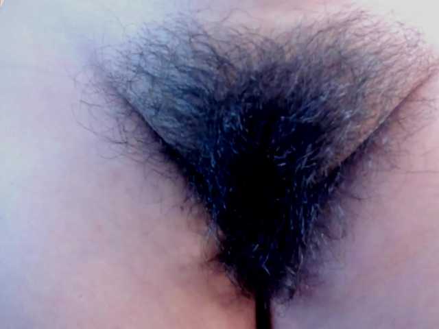  girasol-walto chat room