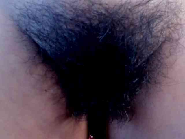 girasol-walto webcam