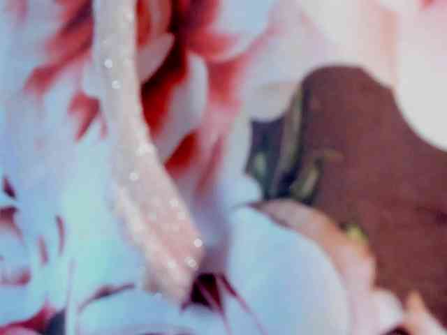 girasol-walto Live Webcam on BongaCams