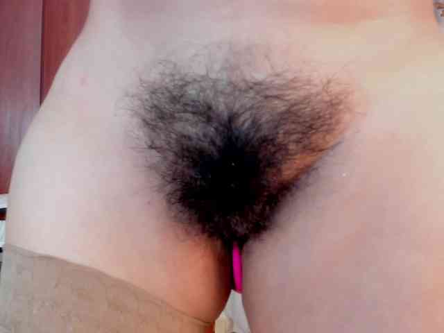 girasol-walto webcam