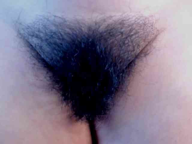 girasol-walto webcam