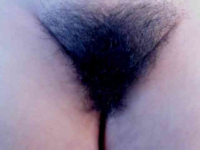 girasol-walto webcam
