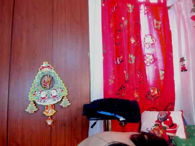 girasol-walto girasol-walto