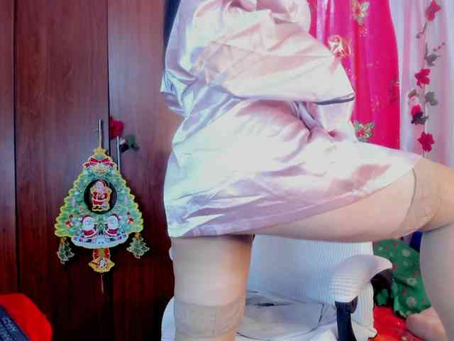 girasol-walto girasol-walto