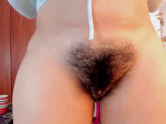 girasol-walto webcam