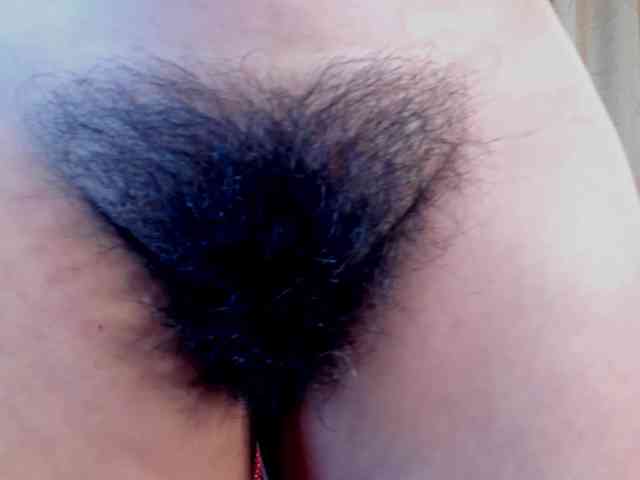 girasol-walto webcam