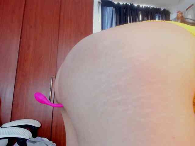 girasol-walto webcam