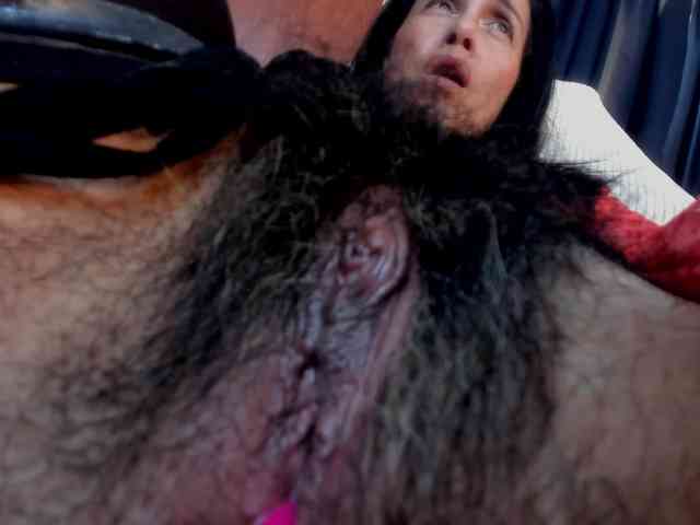 girasol-walto webcam