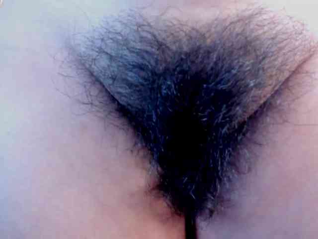 girasol-walto webcam