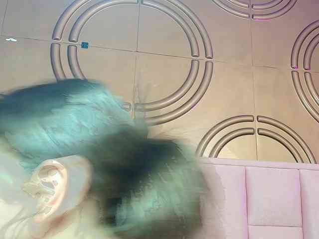 valeriaa19 valeriaa19