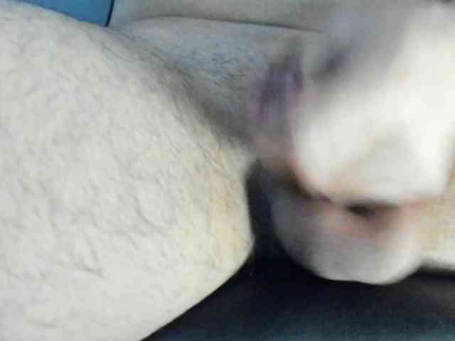 HandsomeHercules HandsomeHercules