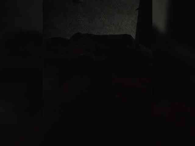Neznakomvam Live Webcam on BongaCams
