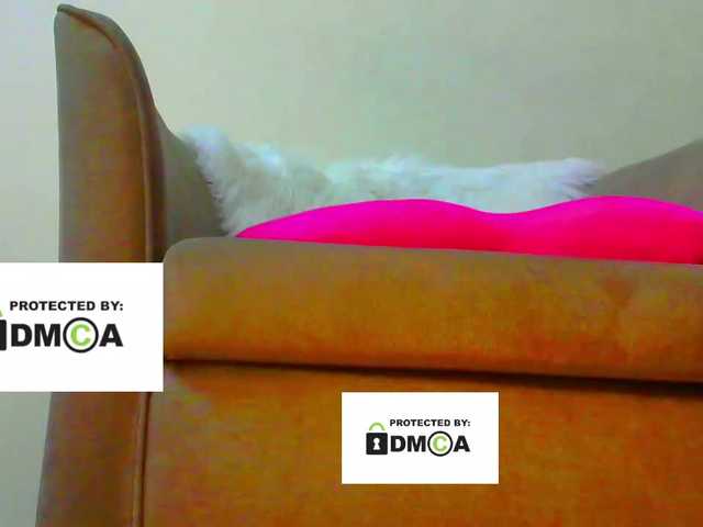 FeminaF's BongaCams show and profile