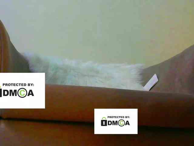 FeminaF webcam