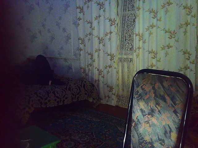 Fantom-38 Porn