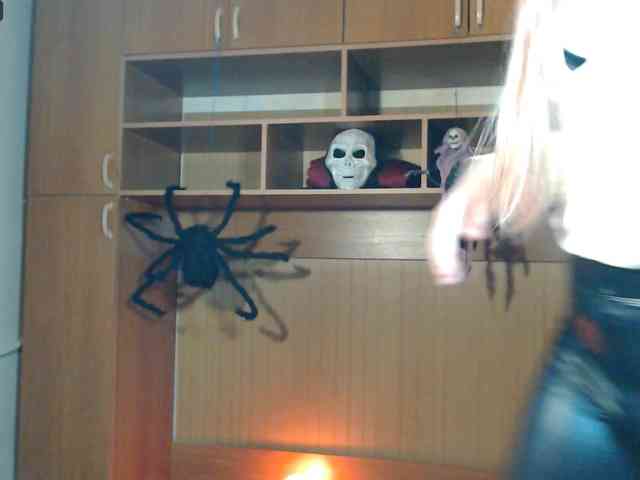 likeAflower webcam