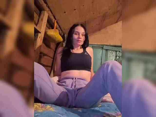 video live chat Paratrax