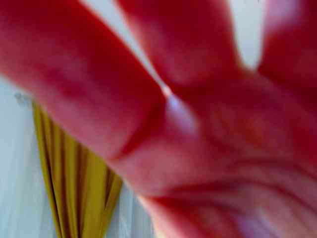 Malvvina webcam