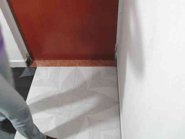 saaramilleer webcam
