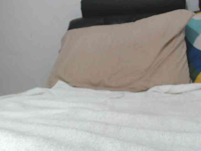 saaramilleer webcam