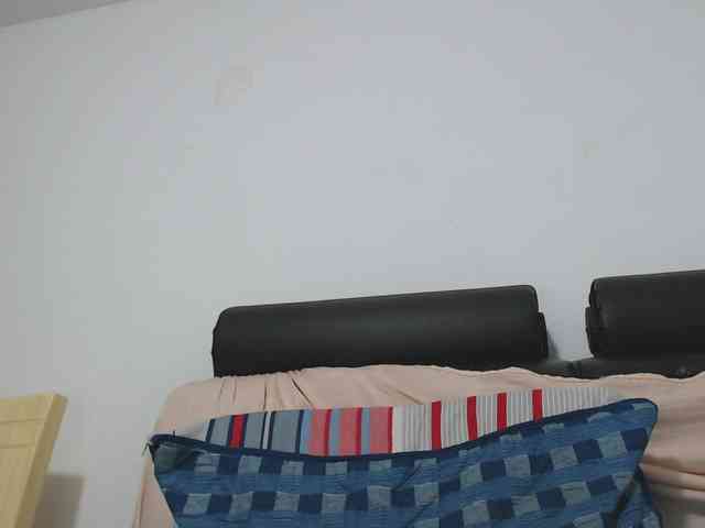 saaramilleer webcam