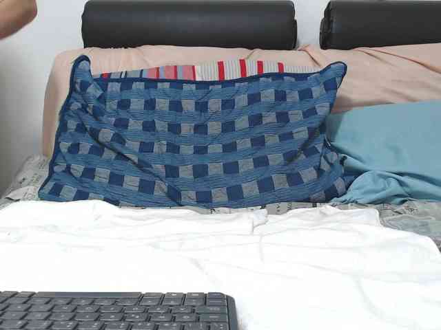 saaramilleer webcam