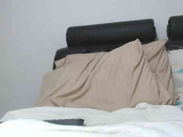 saaramilleer webcam